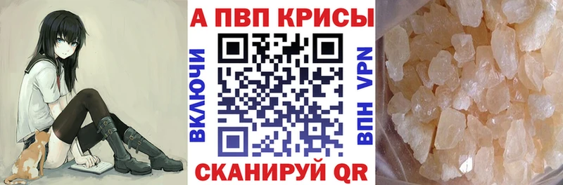 A PVP СК  Кола 