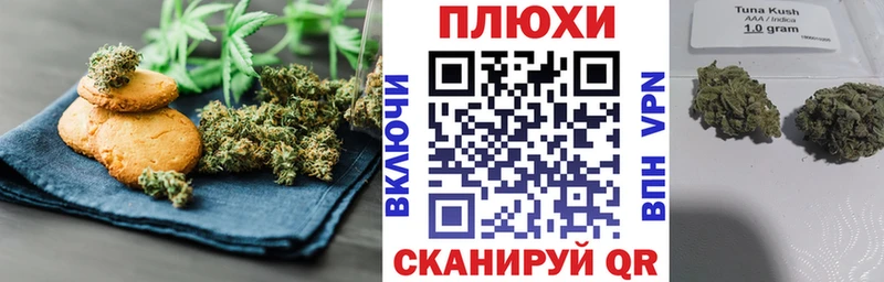 где можно купить   Кола  Canna-Cookies конопля 