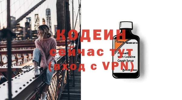 метадон Алексин