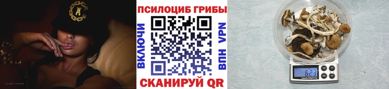 Галлюциногенные грибы прущие грибы  Кола 